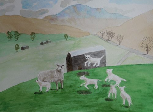 Christine C. Lambs, watercolour.
